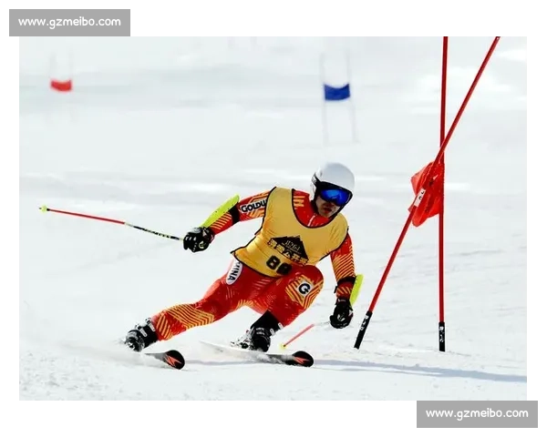 比赛靶纸设计与应用探讨：提高精准度与竞技水平的关键因素