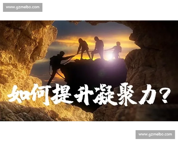 打造凝聚力与卓越表现兼备的现代体育团队文化研究与实践探索
