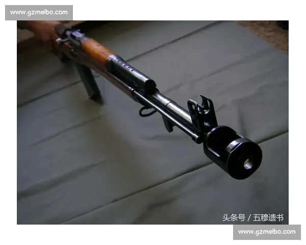 专业射击比赛枪配件选择技巧与性能升级维护完整指南分享